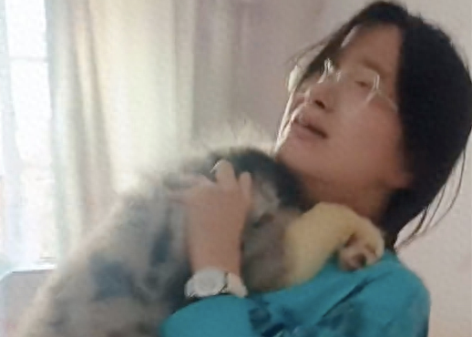在女儿18岁成人礼生日，妈妈送她一只陨石边牧犬，激动溢于言表！