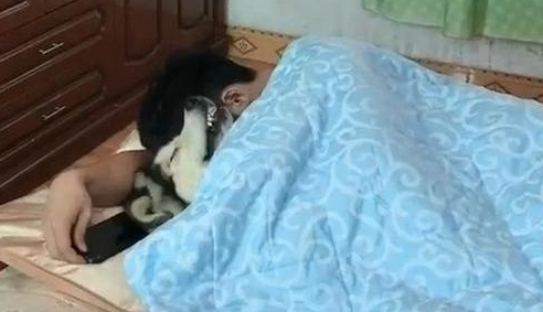 不仅哈士奇占据了女主人的位置,且还露出了胜利的微笑 不仅哈士奇占据了女主人的位置,且还露出了胜利的微笑