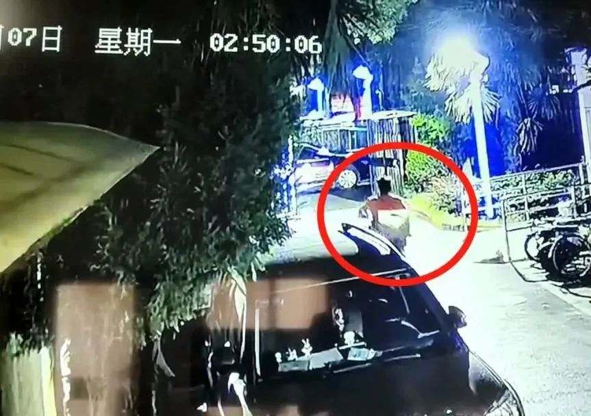 “请不要吃我的猫”:为了救猫,她成了“偷猫宰猫黑产”最怕的女人 “请不要吃我的猫”:为了救猫,她成了“偷猫宰猫黑产”最怕的女人