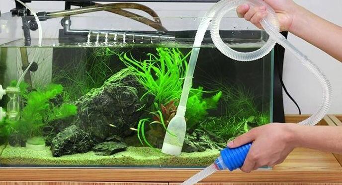 鱼缸换水的正确方法
