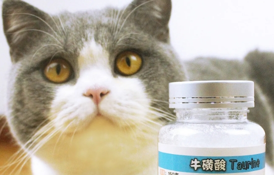 牛磺酸可以恢复视力吗 牛磺酸可以恢复视力吗