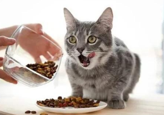 博特菲力猫粮好吗 博特菲力猫粮好吗