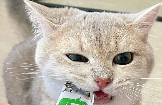饱崽饭猫条：高品质、营养丰富的猫条