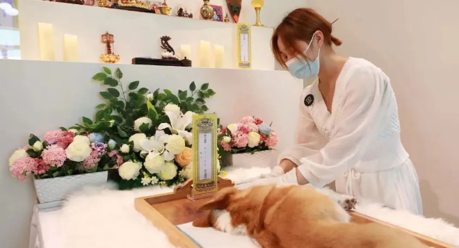 五年开店近300家,获数轮融资,恩宠堂徐桦:不止于生意,如何“重做”宠物殡葬行业? 五年开店近300家,获数轮融资,恩宠堂徐桦:不止于生意,如何“重做”宠物殡葬行业?