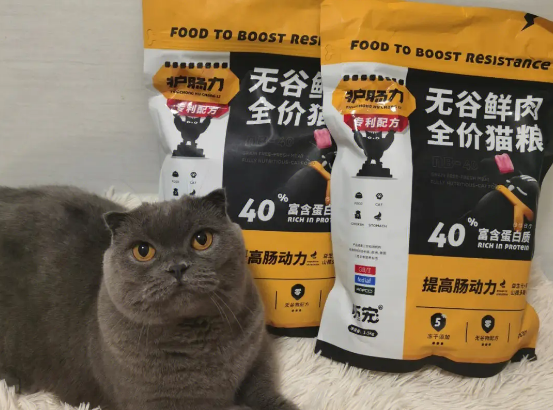 臭臭军猫粮多少钱