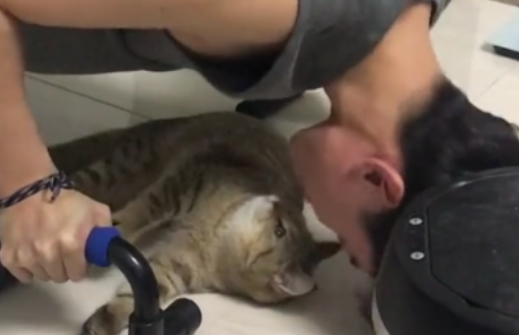 把猫咪托付给男友,回来却看到这幕,猫:救猫啊,有人要“非礼” 把猫咪托付给男友,回来却看到这幕,猫:救猫啊,有人要“非礼”