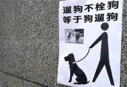 无语！上海10岁女孩被狗咬伤，狗主人却咬定“认错狗”