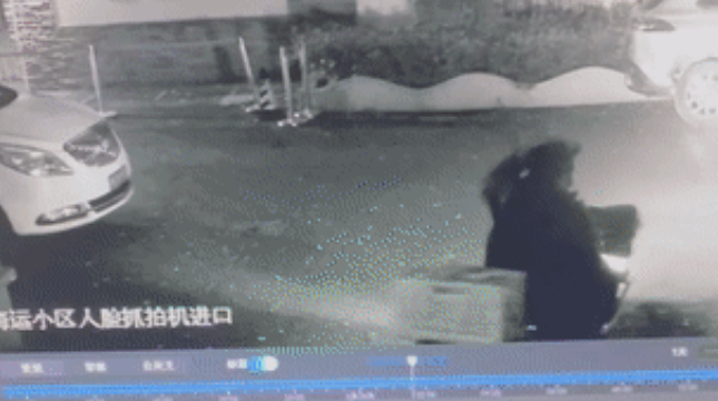“请不要吃我的猫”:为了救猫,她成了“偷猫宰猫黑产”最怕的女人 “请不要吃我的猫”:为了救猫,她成了“偷猫宰猫黑产”最怕的女人