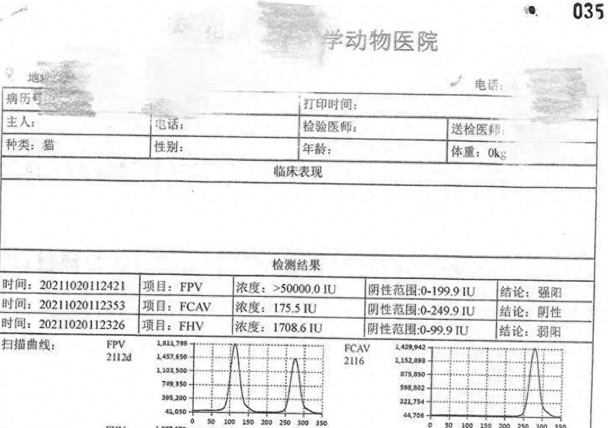 现在开庭｜网购的宠物猫患有猫瘟，法院判决卖家赔9000余元
