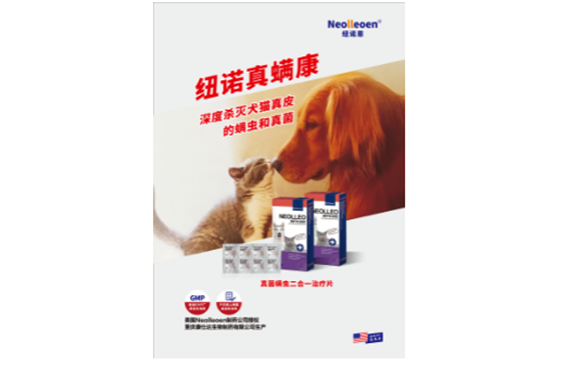 纽诺恩宠物药好不好?给猫咪吃多了会怎么样? 纽诺恩宠物药好不好?给猫咪吃多了会怎么样?