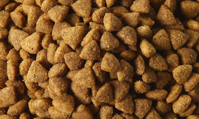 朗吉狗粮:营养丰富,品质卓越的宠物食品 朗吉狗粮:营养丰富,品质卓越的宠物食品
