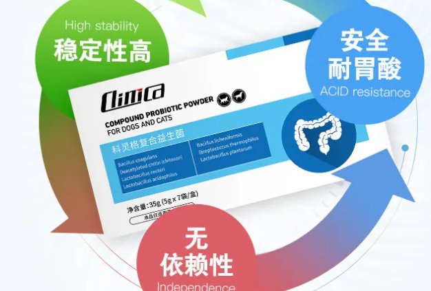 科灵格是宠物消炎药吗？