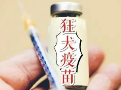 打过狂犬疫苗可以保持几年 打过狂犬疫苗可以保持几年