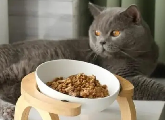 过期猫粮能吃吗 过期猫粮能吃吗