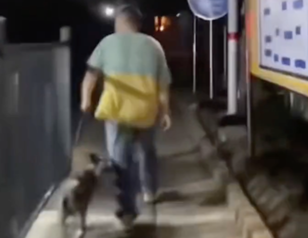 未栓绳的狗狗咬伤了孩子，女士报警后主人带着狗开溜