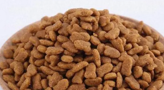 皓宠冻干猫粮好不好 皓宠冻干猫粮好不好