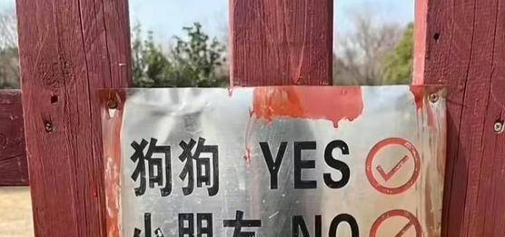 又翻车了？爱狗厌童？沈月又当又立蹭热度，难怪被网友群嘲