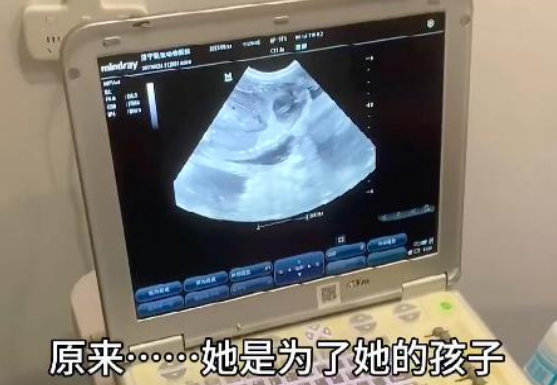 常投喂的怕人流浪狗突然冒雨求收养，可…它竟不是为了自己