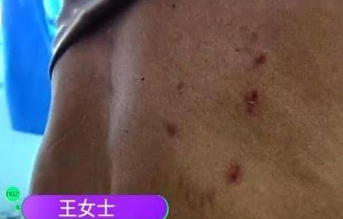 安阳狗咬人事件,“小莉”都哭了,央媒等关注,事件有了新进展 安阳狗咬人事件,“小莉”都哭了,央媒等关注,事件有了新进展
