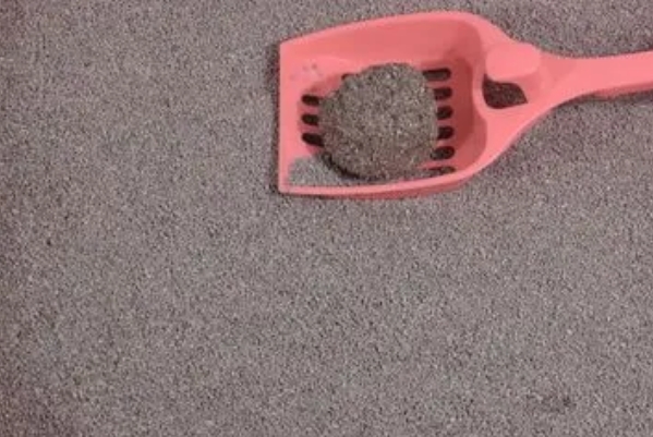 狸奴老爷猫砂好吗