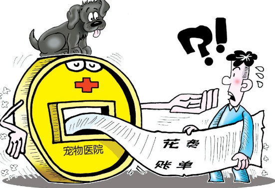当心宠物医疗潜藏法律风险 当心宠物医疗潜藏法律风险