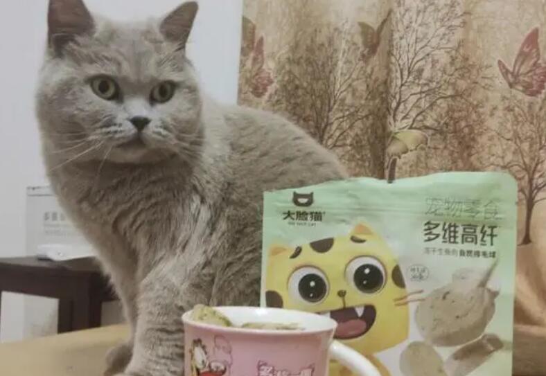 大脸猫猫条生产厂家是哪里