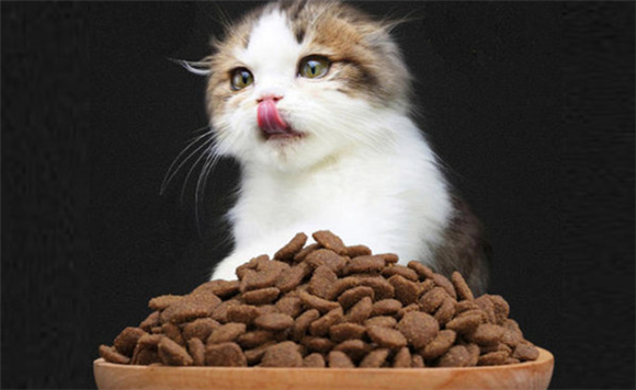 鲜出格猫粮可靠吗?这篇文章有答案! 鲜出格猫粮可靠吗?这篇文章有答案!