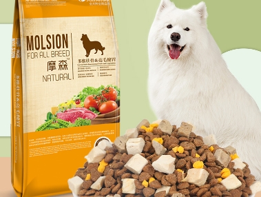 摩森狗粮怎么样