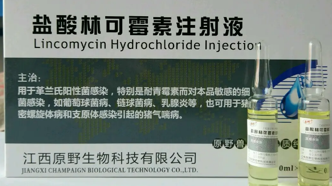 林可霉素在猪场的应用