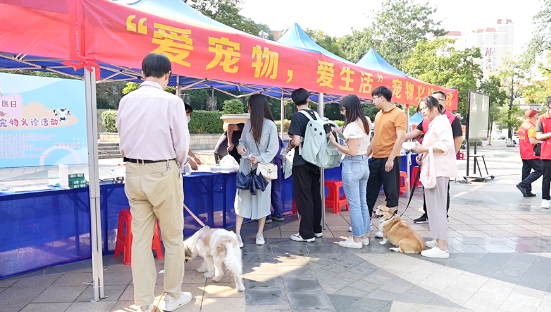 共建文明养宠环境!东泰社区举行宠物义诊活动 共建文明养宠环境!东泰社区举行宠物义诊活动