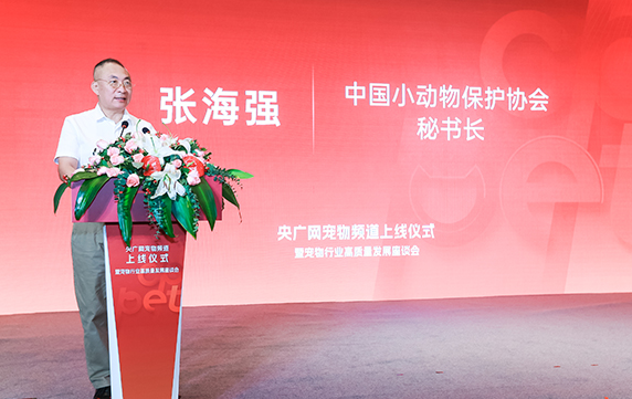 宠宠拼携手中国小动物保护协会 公益筹集10吨宠粮救助流浪动物 宠宠拼携手中国小动物保护协会 公益筹集10吨宠粮救助流浪动物