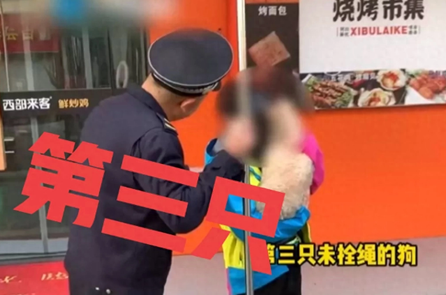 全国禁狗如何？郑州城管严查遛狗不拴绳——出了家门，发现就扣！