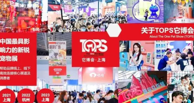它博会估值9000万,兰生股份将提名新公司董事长及法人 它博会估值9000万,兰生股份将提名新公司董事长及法人