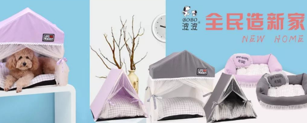 峥嵘二十载，不忘初心！波波，关爱宠物每一天