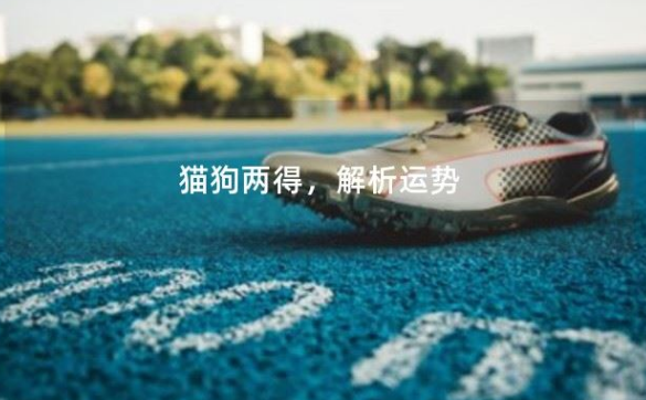 身上有道家的征兆 身上有道家的征兆