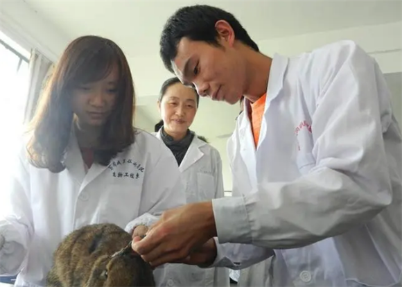 成人想学兽医怎么开始