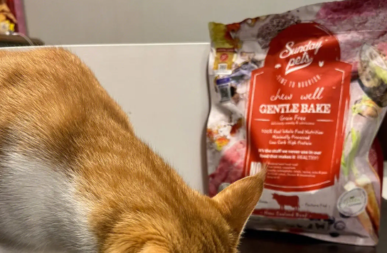 Sundaypets猫粮:高品质与适口性的完美结合 Sundaypets猫粮:高品质与适口性的完美结合