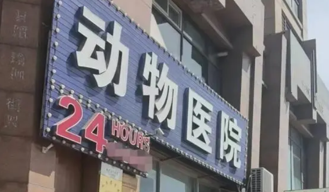 自己生病“多喝热水”，猫咪生病“豪掷上万”