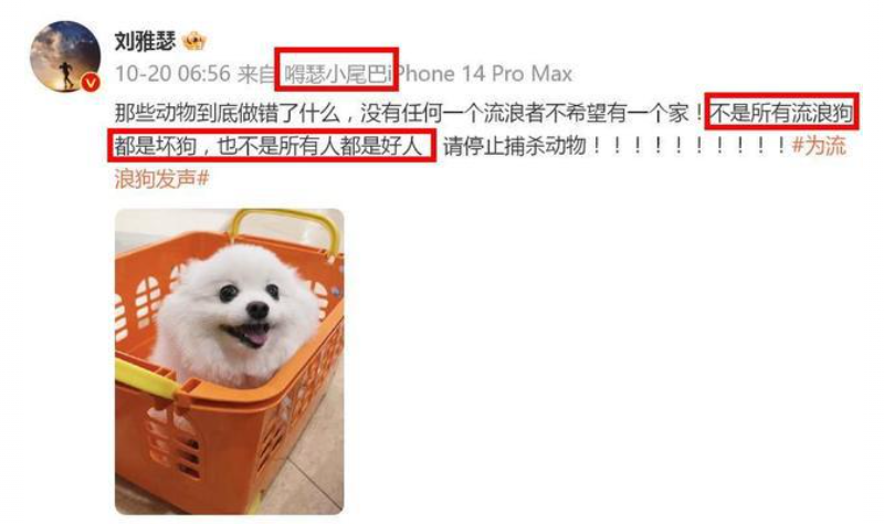 众星为流浪狗发声，被扒说一套做一套，2 岁被咬女童近况曝光！