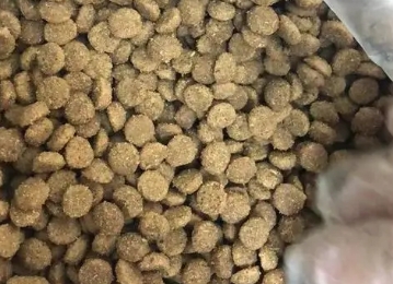 一只喜欢猫粮是毒猫粮吗 一只喜欢猫粮是毒猫粮吗