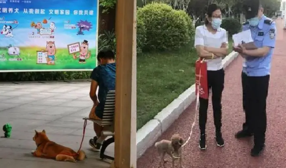 广州整治违规不文明养犬行为 三类情况要受罚 
