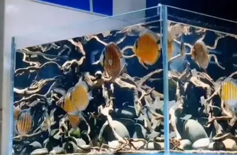 十大水族品牌大全 十大水族品牌大全