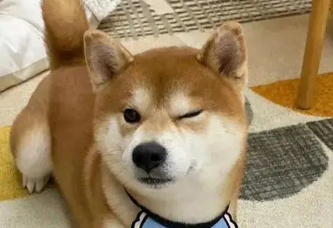 世界灵异事件 世界灵异事件
