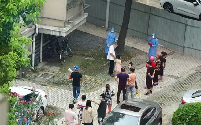 省宠物协会秘书长:人和宠物不存在冲突,矛盾应归咎于人,建议养犬前先考试