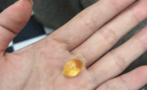 汪崽福鱼油——源自大自然的健康鱼油