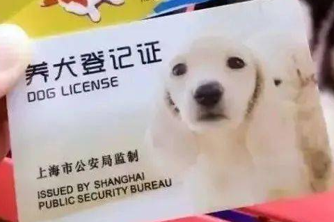 文明养犬 给TA身份丨亚宠携手麦道 办证享购票福利