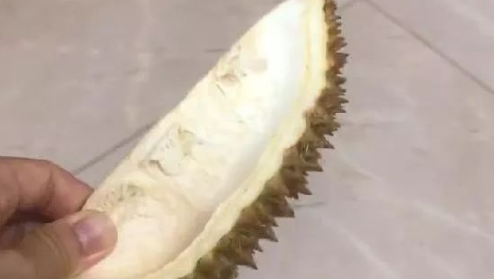 主人拿榴莲皮逗二哈，没想到二哈居然嫌弃榴莲臭：快把鼻子捂上！
