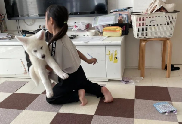 秋田犬对生活失去了失望,却对上天祈求:神啊,救救我吧... 秋田犬对生活失去了失望,却对上天祈求:神啊,救救我吧...