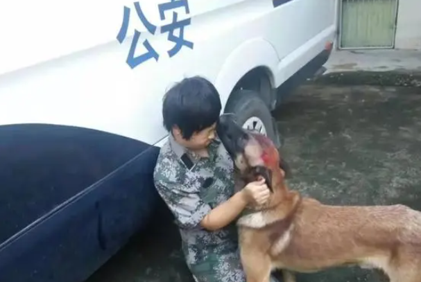 警犬与警花并肩作战,都很“猛”! 警犬与警花并肩作战,都很“猛”!