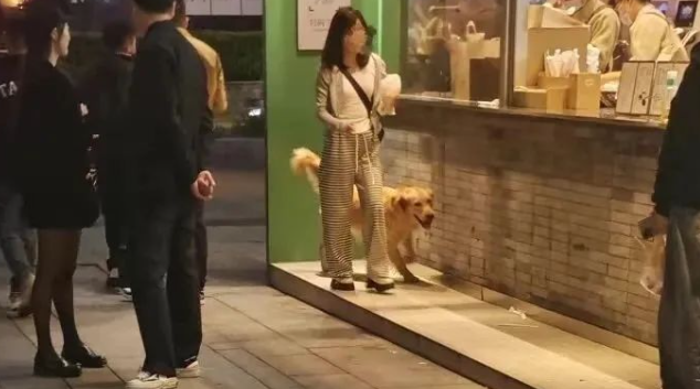 遛狗牵绳入法两年了，南充还有人遛狗不牵绳？